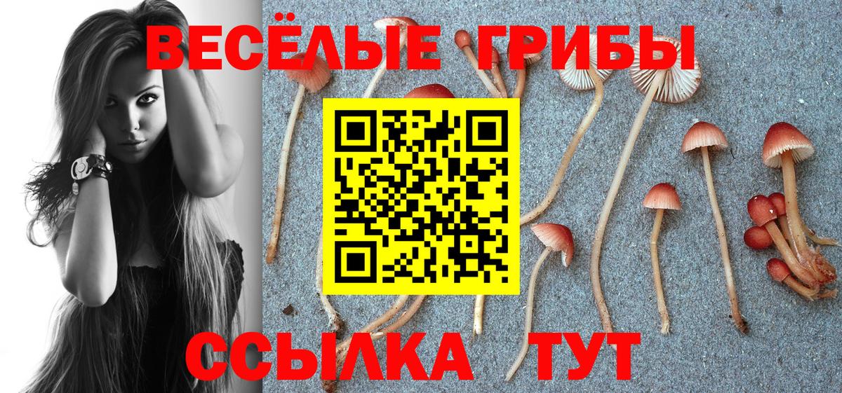 Ливны  Псилоцибиновые грибы GOLDEN TEACHER  Вход с VPN 