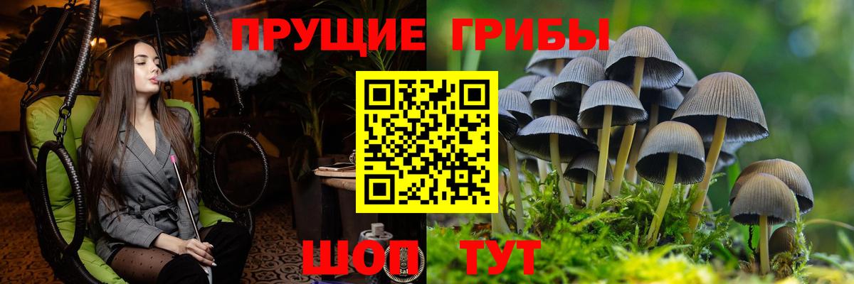 Альфа ПВП Ливны