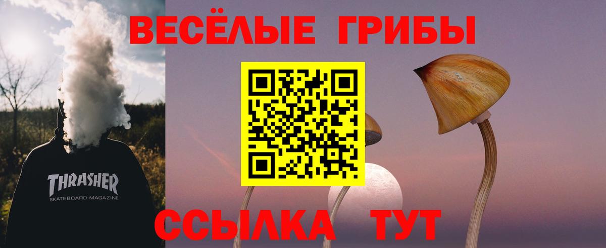 Галлюциногенные грибы MAGIC MUSHROOMS Ливны